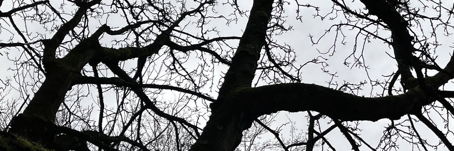 dogayalcin_'s profile banner image