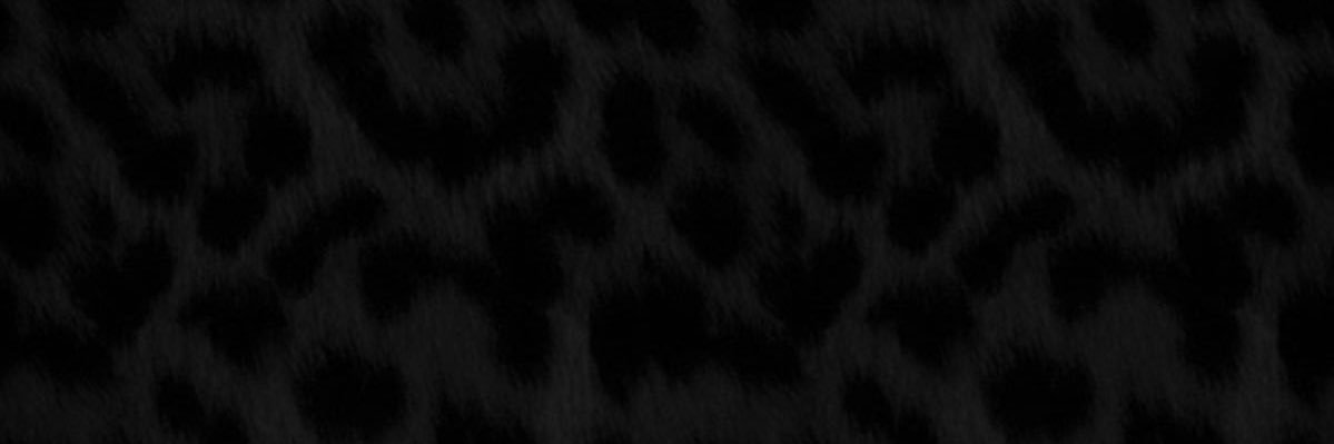 Bart.wiec banner