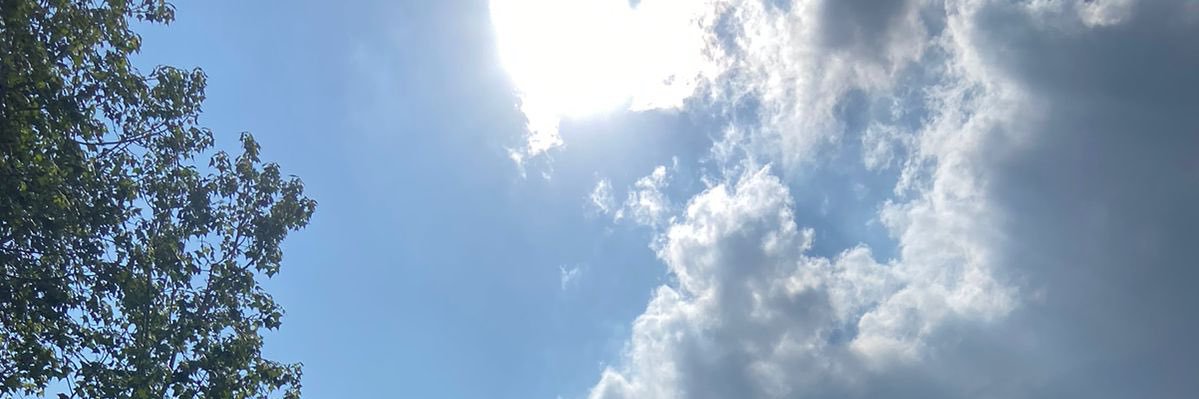 LizziePD banner