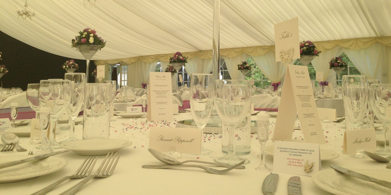 Lion Outside Bars banner