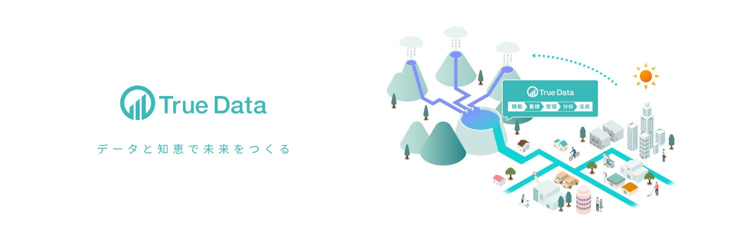 【公式】株式会社True Data (@truedata_inc) / Posts / X