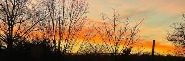 BethFrerking Profile Banner