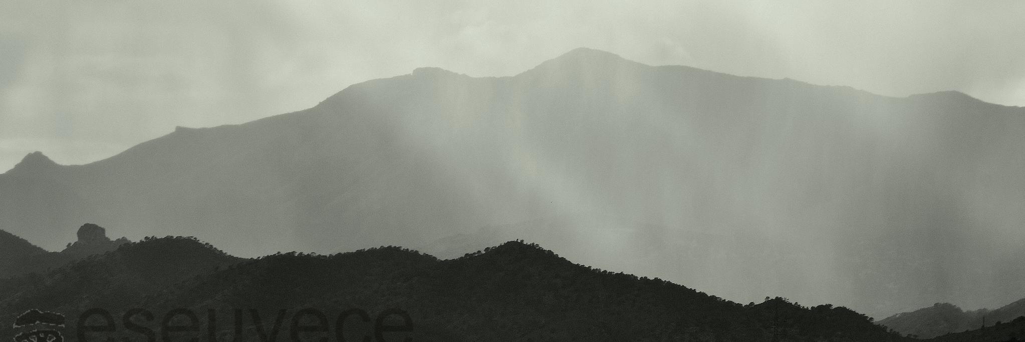 eseuvece's profile banner image