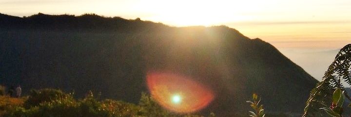 wdyrpr's profile banner image