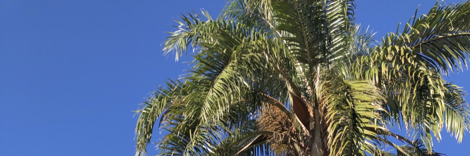 lombarkaw's profile banner image