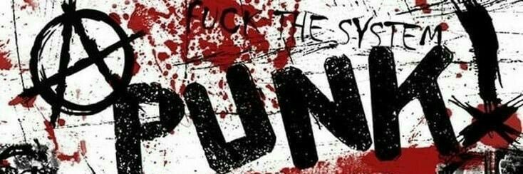 ✶✶ daily punker ✶✶'s banner