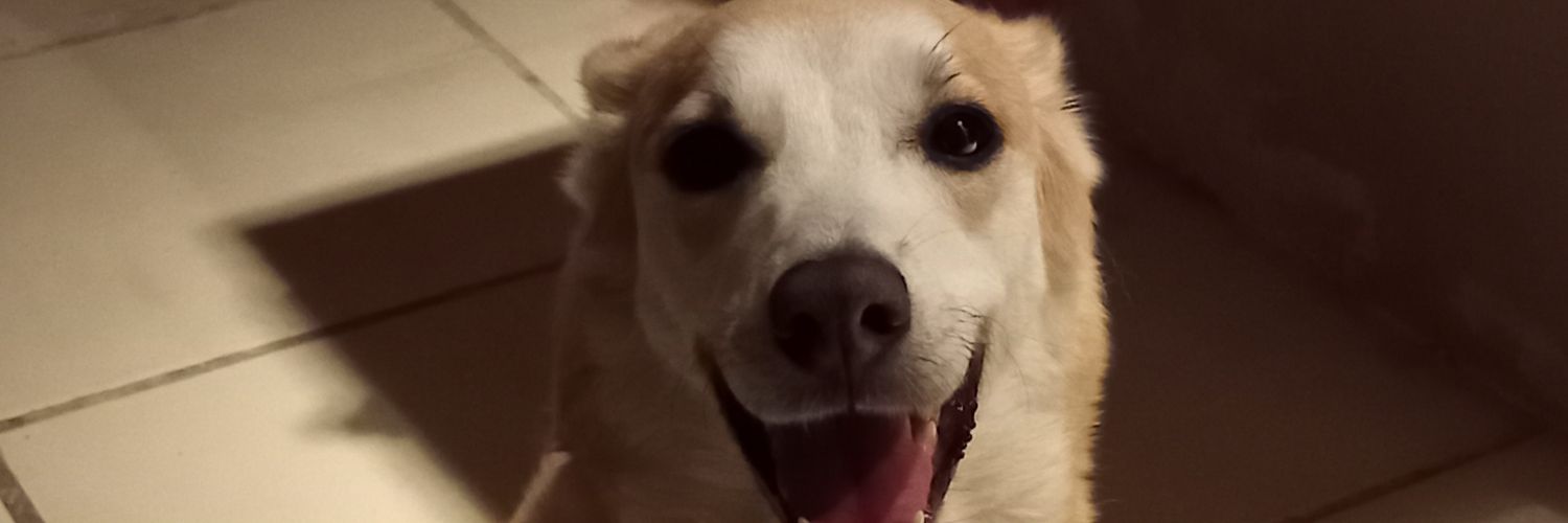 taniaariv's profile banner image