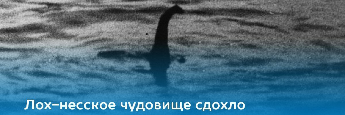Idonthhateyouuu's profile banner image