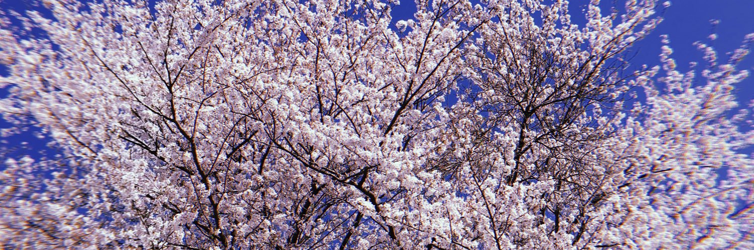 R202553's profile banner image