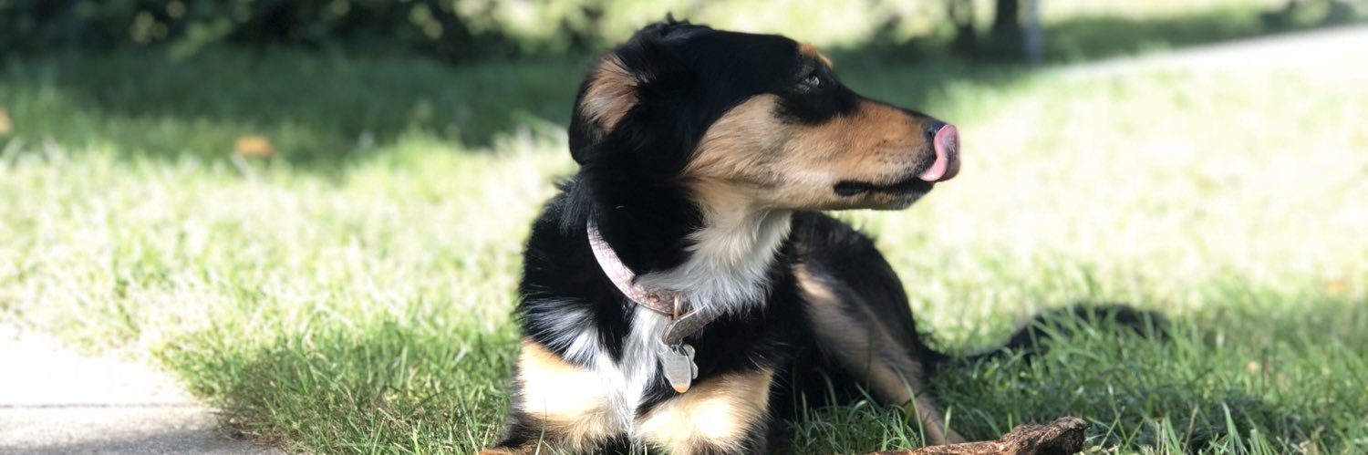 therealEmShade's profile banner image