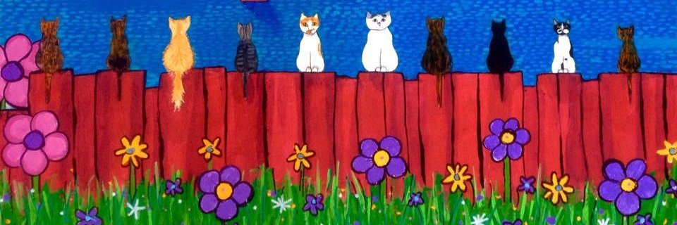 kccatdr's profile banner image