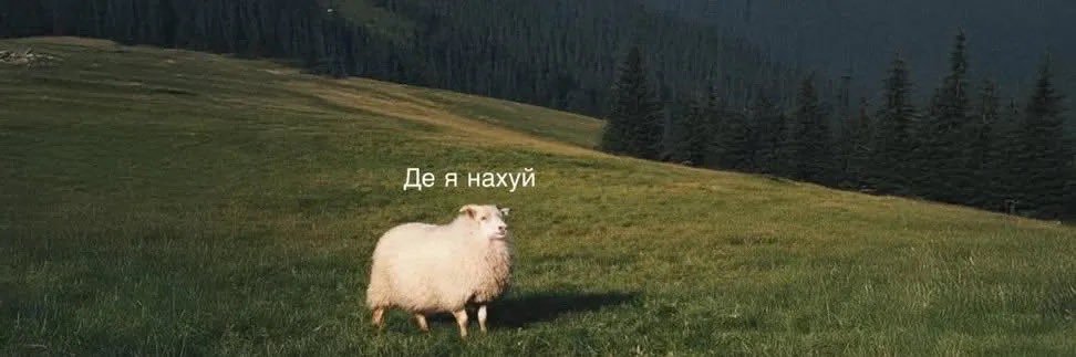 m2-75 🇺🇦🛹 banner