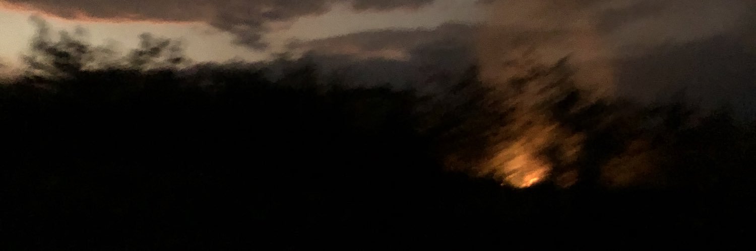 dinosaur 🇨🇺 banner