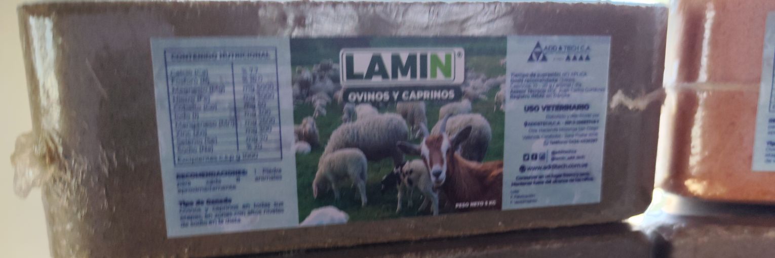 lamin_add_tech's profile banner image