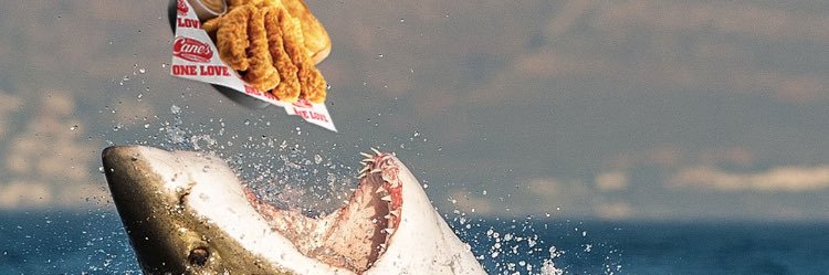 travicetweets's profile banner image