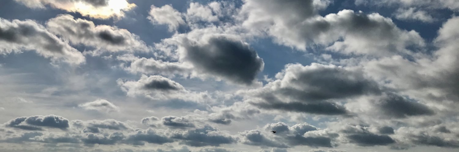 saridag27's profile banner image