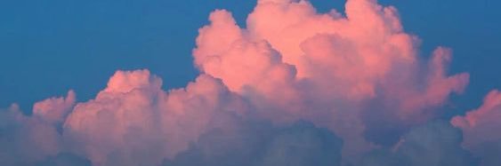 cece_phillipss's profile banner image
