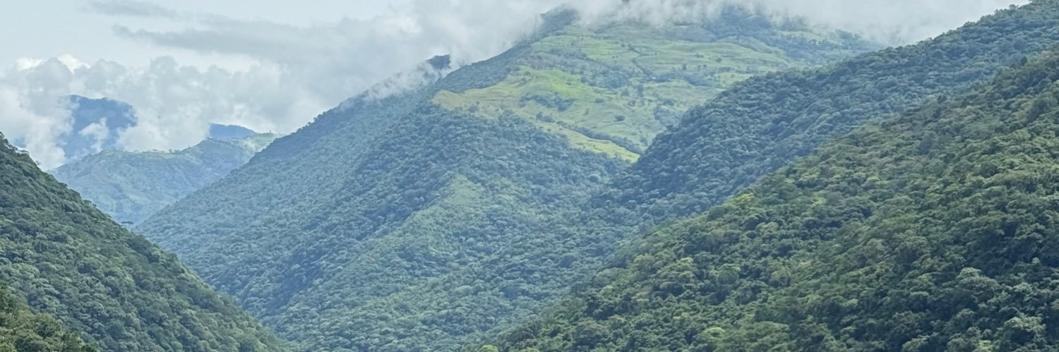 bichofue13's profile banner image