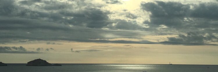 tess_frd's profile banner image