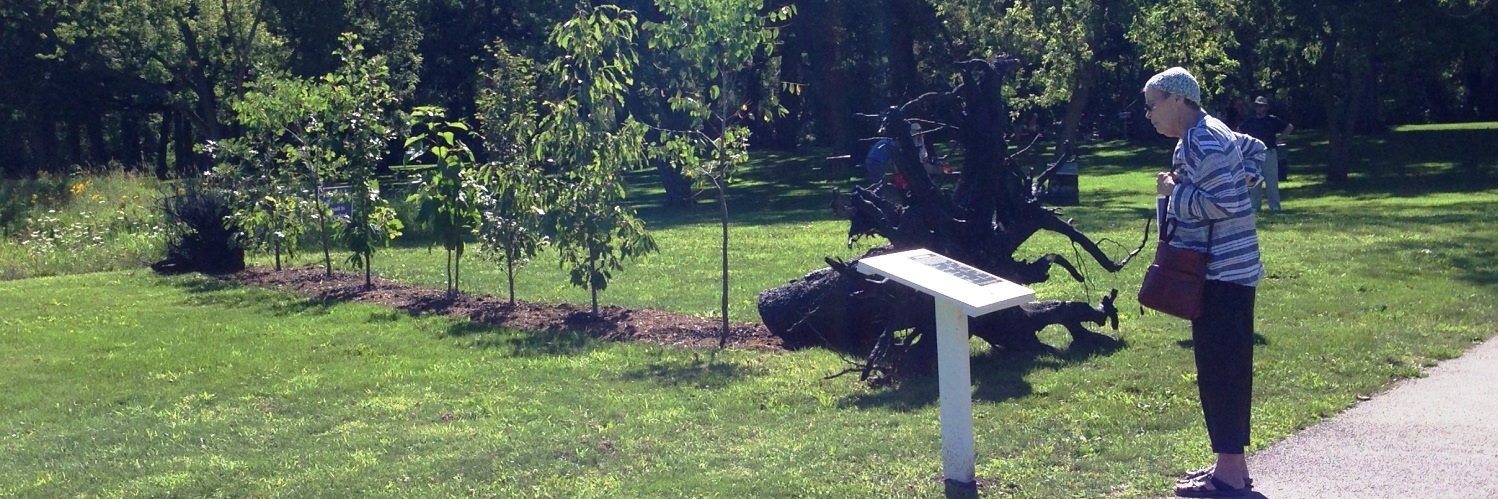 Christine Esposito banner