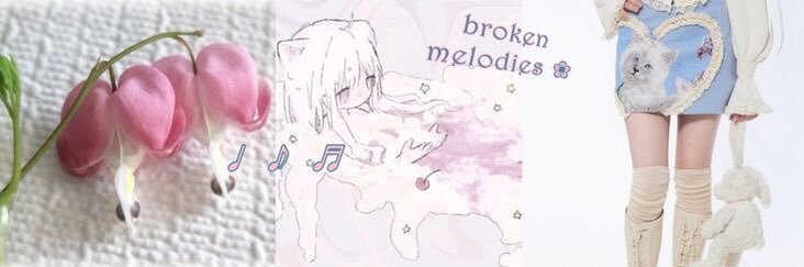soyoureal banner