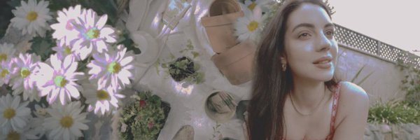 eerieswallow Profile Banner