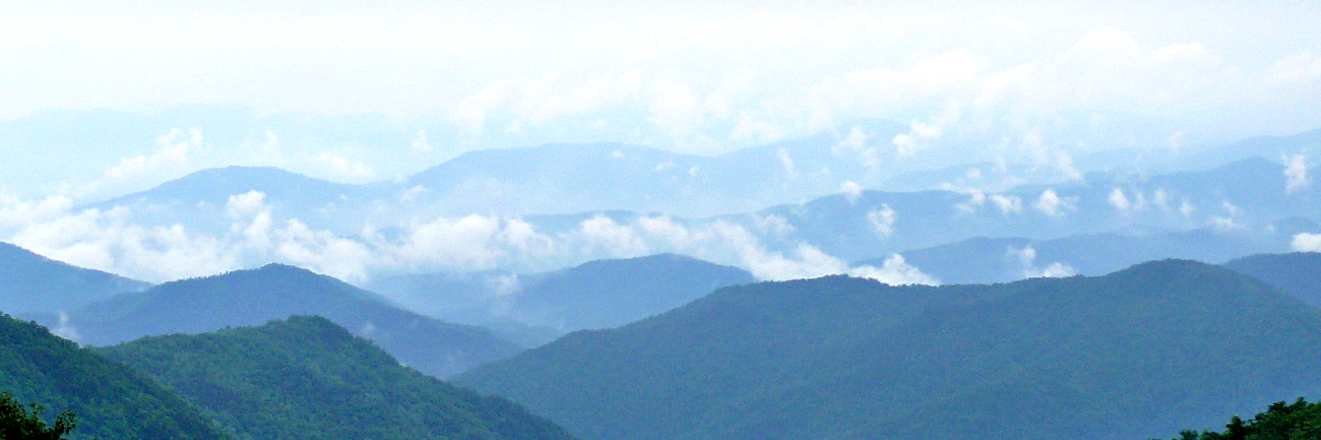 UpstateVoice's profile banner image