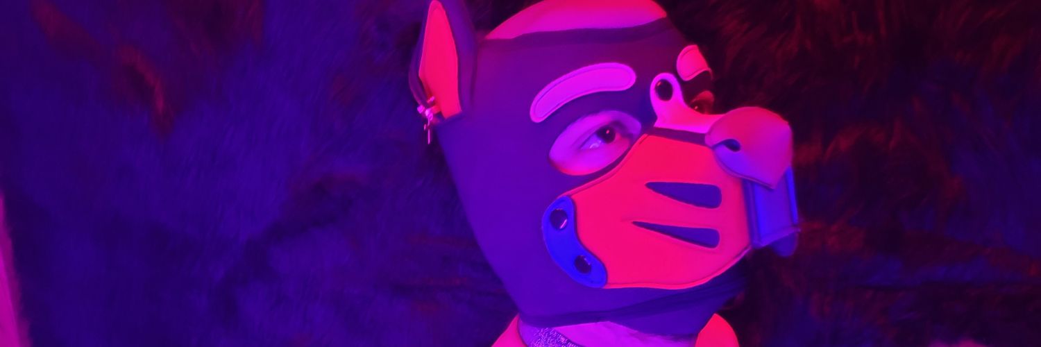 AniPupRoyalty's profile banner image