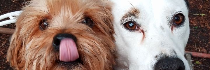 AngyBeorda's profile banner image