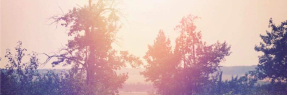 Tiffanyrcarr's profile banner image