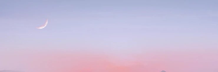 rojas banner