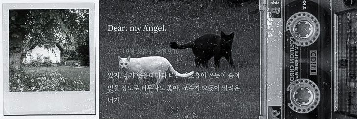 юдори banner