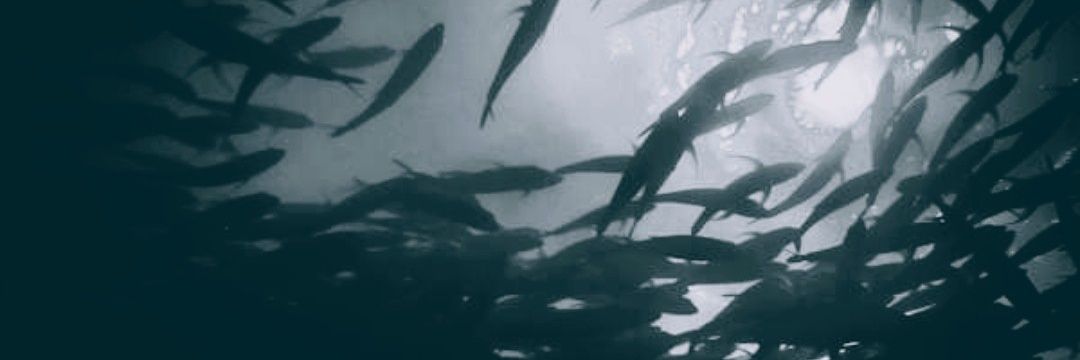 hernanVfuentes's profile banner image