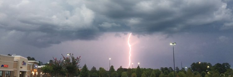 Cecilia Reeves☔ banner