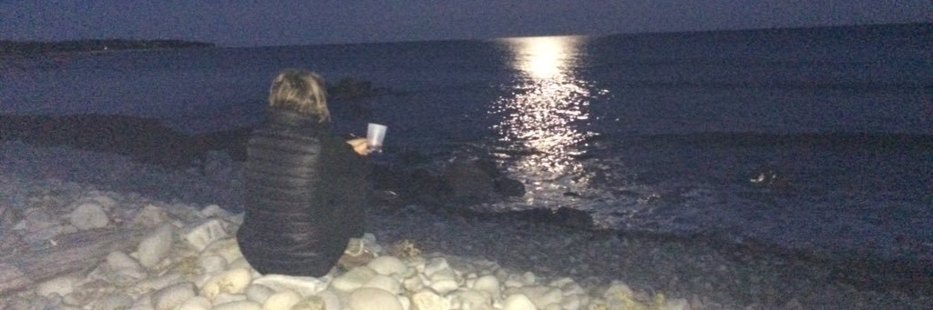 Shawna Coleman banner