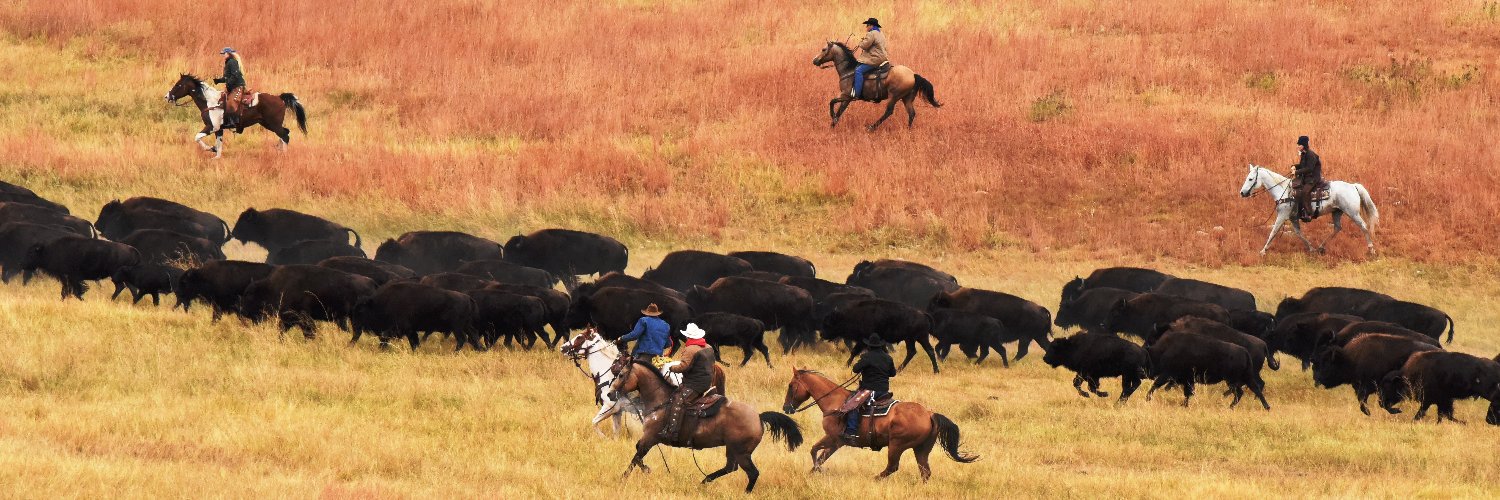 Rapid City Journal banner