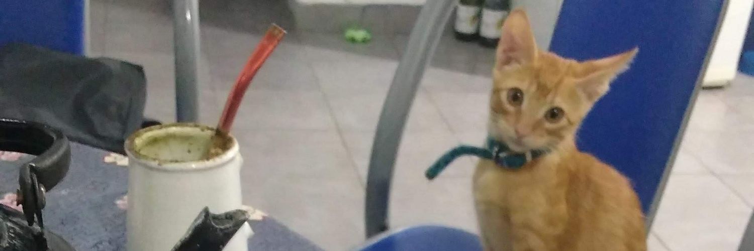 lopezgle's profile banner image