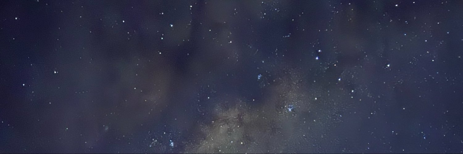 plompesauris's profile banner image