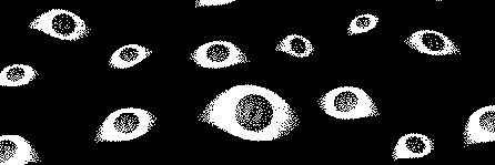 ᓚ₍⑅^..^₎♡'s banner