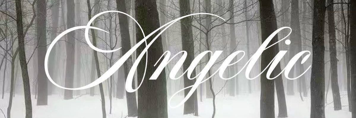 ৻ꪆ hiatus banner