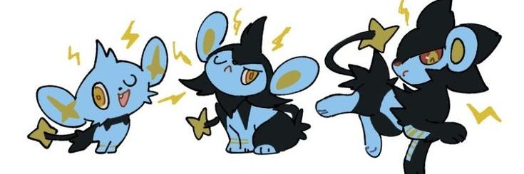 Cat the luxray shedtwt (he/it) banner