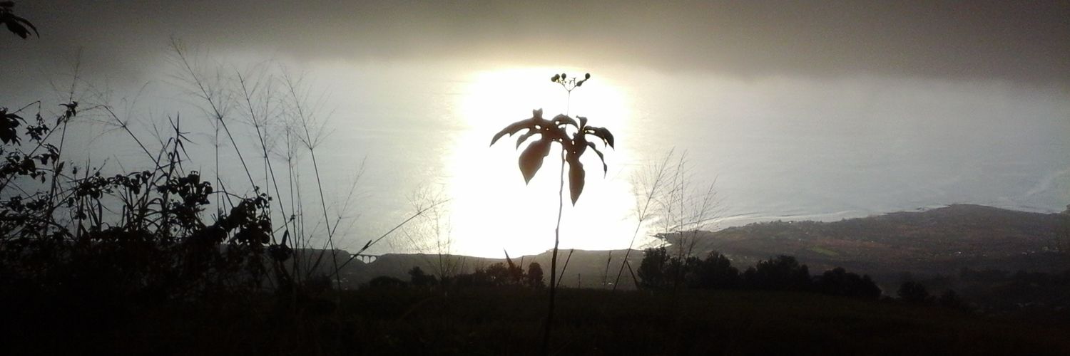 motstot's profile banner image