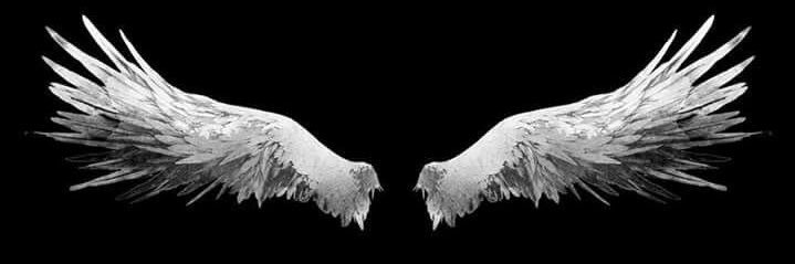 lay banner