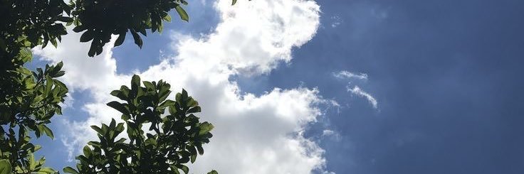 FtnIlani's profile banner image