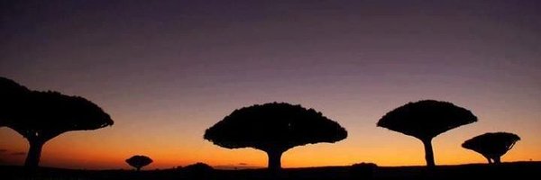 H_hzza1 Profile Banner