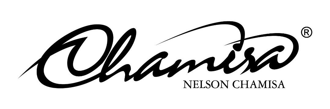 nelson chamisa banner