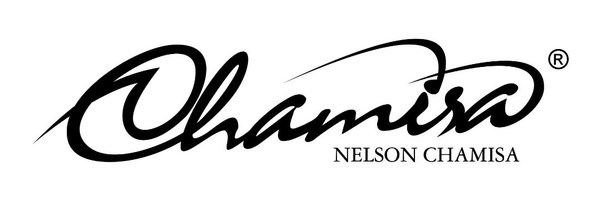 nelsonchamisa Profile Banner