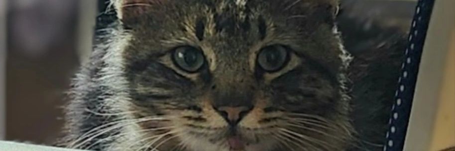 akuXIII's profile banner image