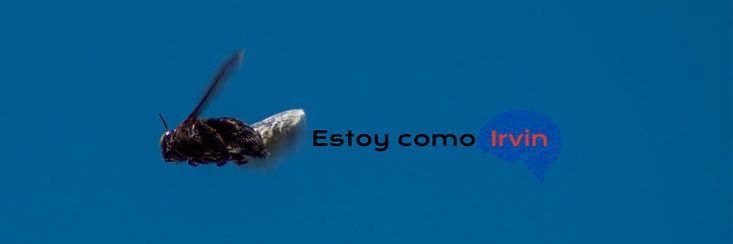 irvinmtz's profile banner image