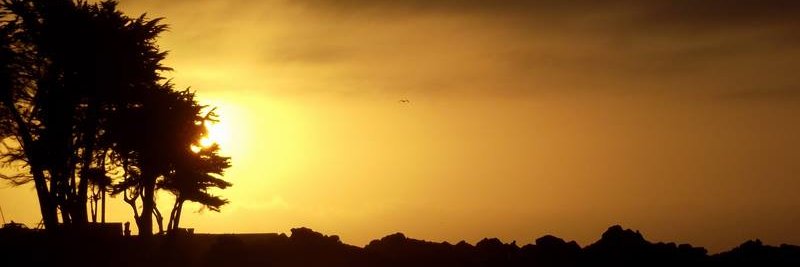 rovaaz's profile banner image